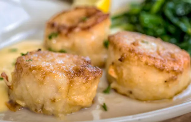 Seared day boat scallops